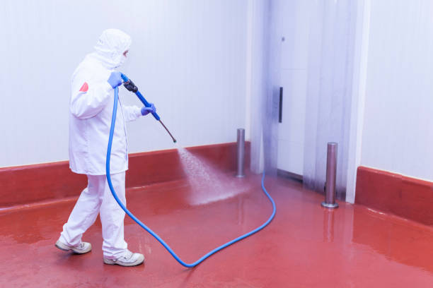 Best Roof Washing  in Barnwell, SC
